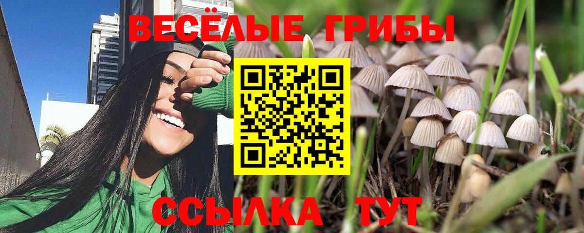 Астрахань  Псилоцибиновые грибы MAGIC MUSHROOMS  Вход с VPN  Галлюциногенные грибы мухоморы 